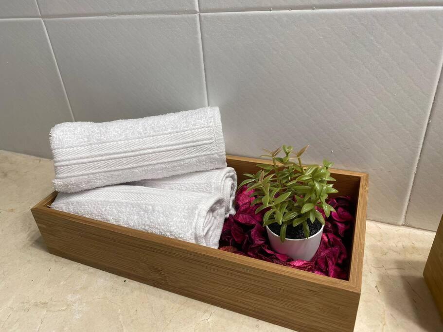 Apartamento Golf Del Sur 산미겔데아보나 외부 사진